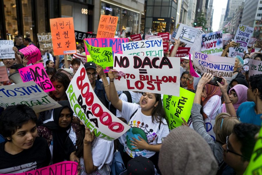 DACA; And the 800,000 people affected