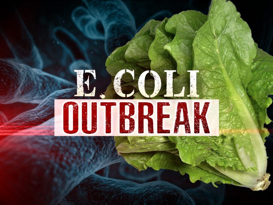 E Coli. Outbreak The Charles Street Times