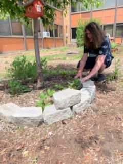 The Native Garden