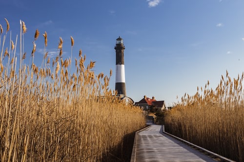 Great South Bay Cleanup