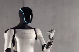 Optimus: The Tesla Bot