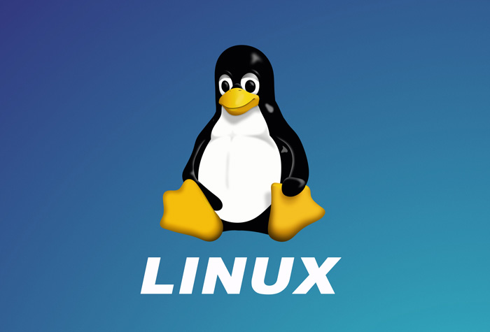 Linux is one of the most popular operating systems.