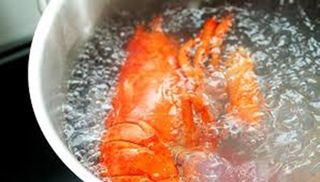 Red Lobster young CEO in hot water