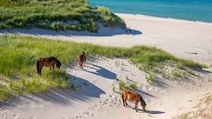 Sable Island