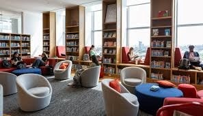 Why you should go to the library